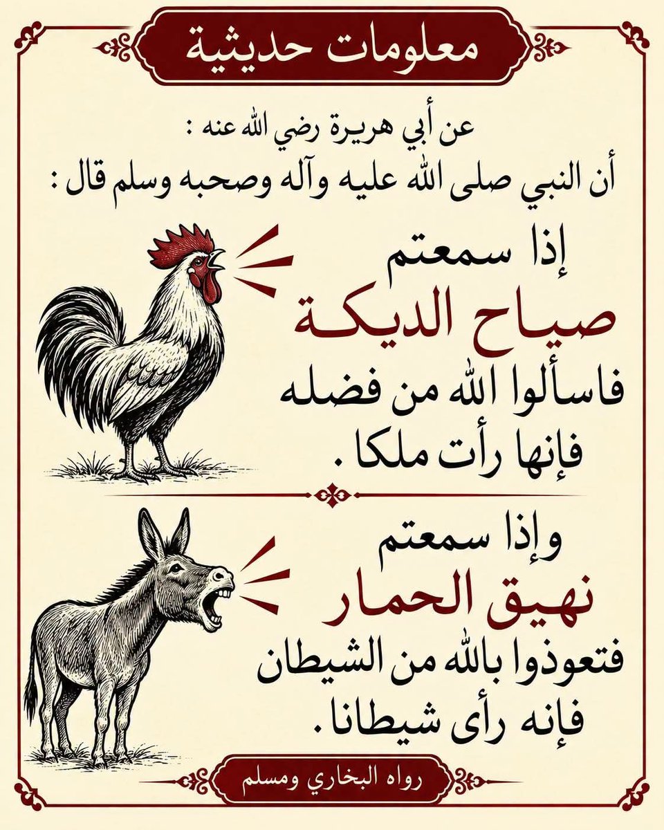 ahraar1415's tweet photo. https://t.co/vbWueDdJrM