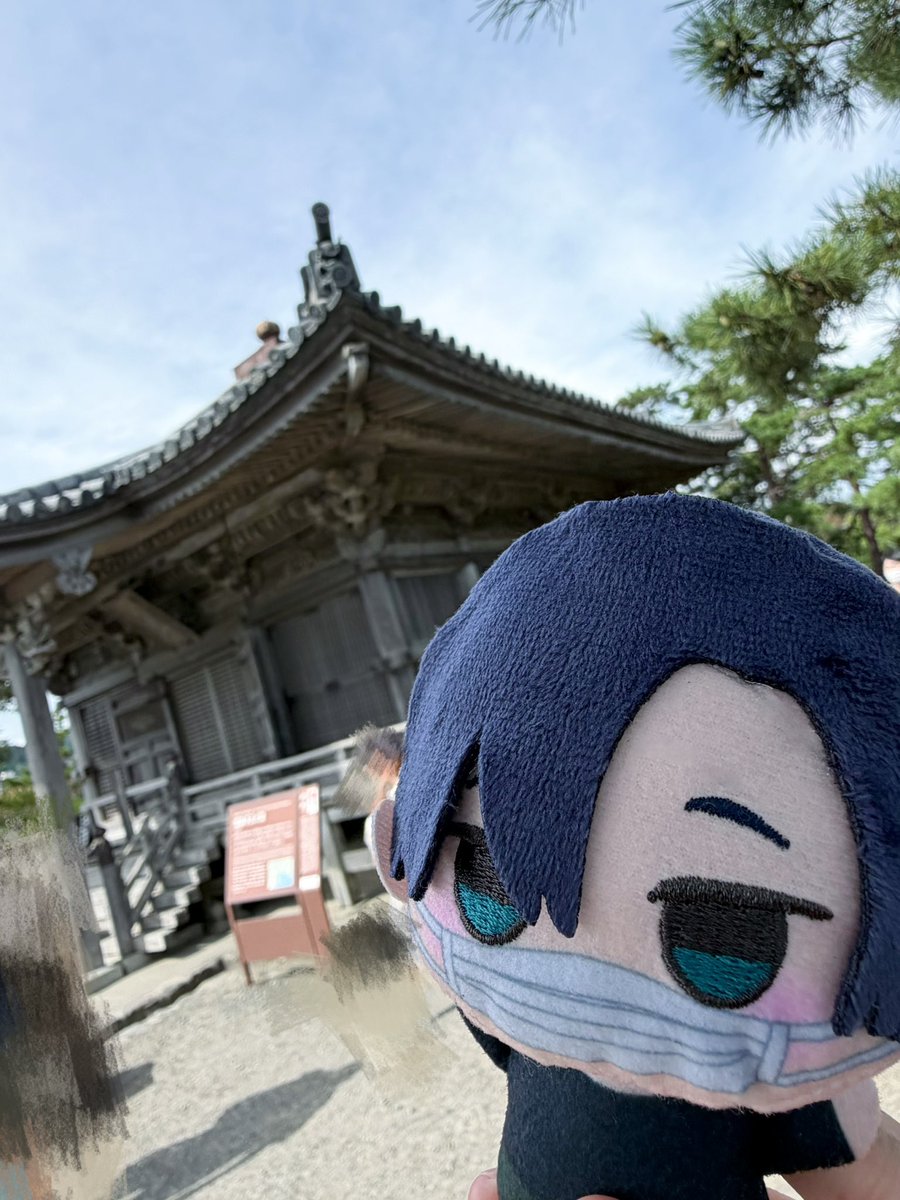 osirukomoe's tweet photo. まふくん、五大堂だよ https://t.co/FMLCiqGPy4