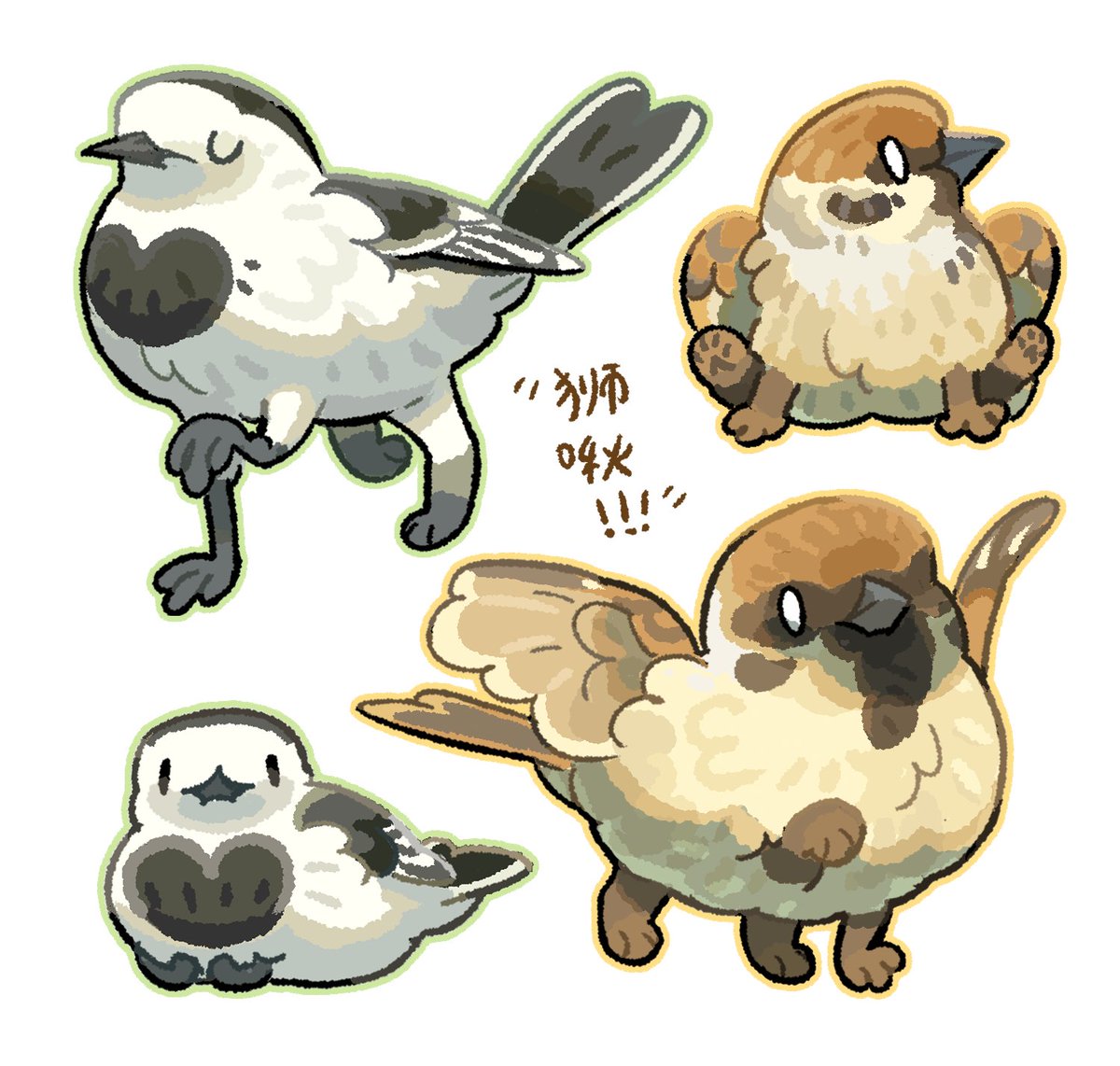 unknowncyc's tweet photo. The griffins of the order Passeriformes https://t.co/CqFsDSzrE4
