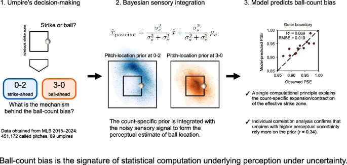 shinyamasahirox's tweet photo. Our new paper is now available!

野球審判のストライク・ボール判定のカウントバイアスは、ベイズ感覚統合で数理的に説明できるよ！

一般向けの詳しい説明は、プレスリリースの際に…

https://t.co/esgFihPQPf https://t.co/fhMOT4WF8h