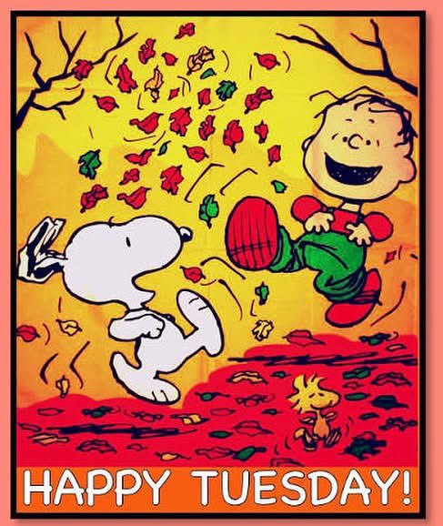 snoopyandfrien6's tweet photo. HAPPY TUESDAY ! https://t.co/ZURsU8eEi2