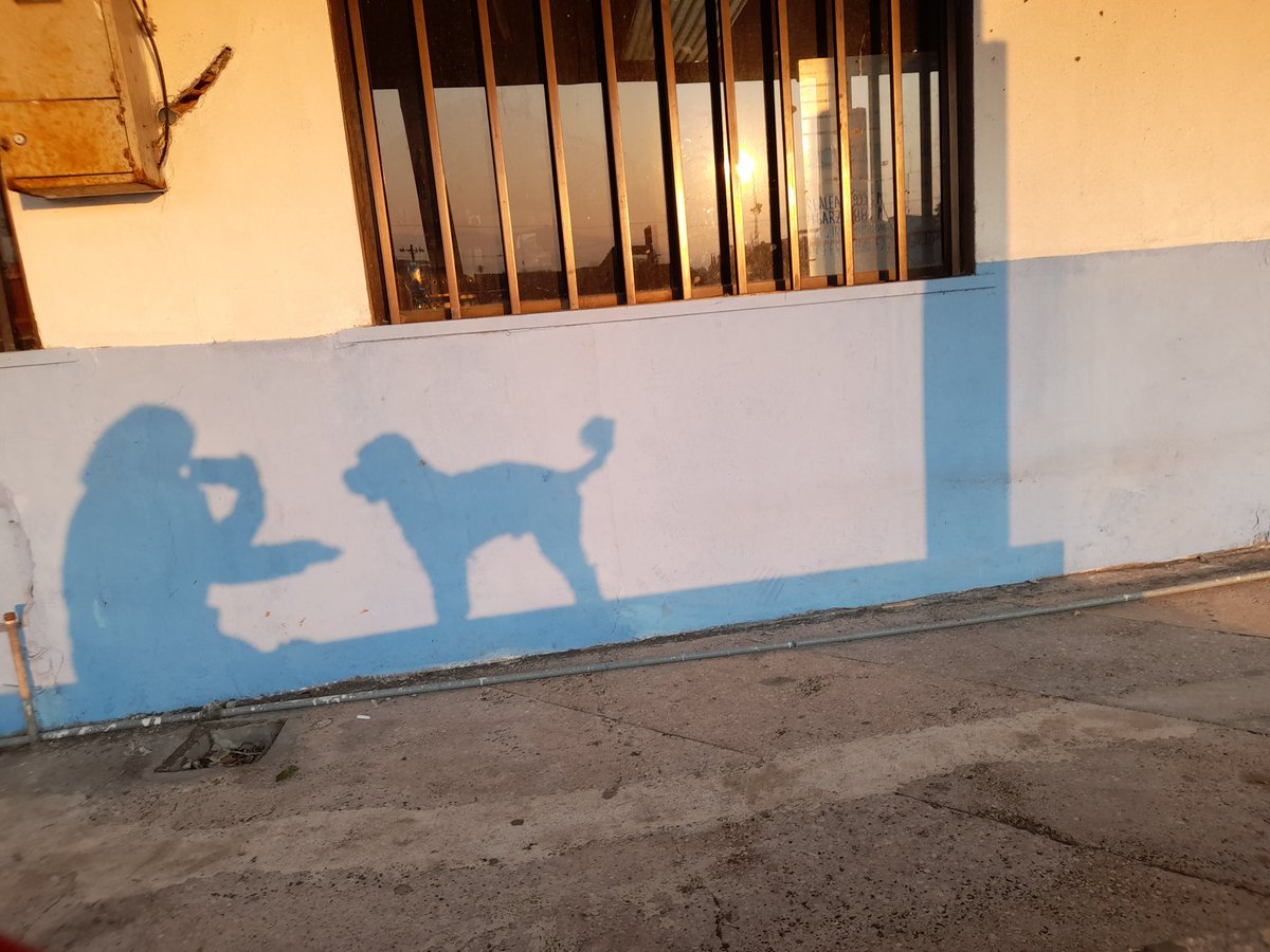 Francisca162000's tweet photo. Por siempre https://t.co/Hw69FNPLPY