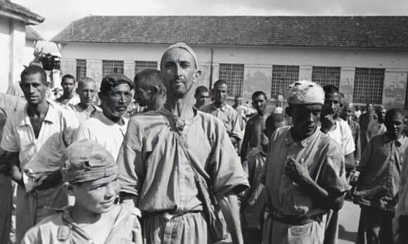acervobabyloony's tweet photo. Quando o Brasil decidiu não enxergar: o Holocausto Brasileiro — uma thread. https://t.co/4dt2Q8nf42