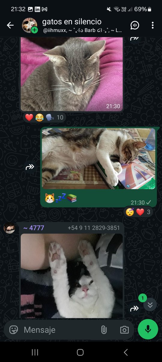 itsjustmerei's tweet photo. Debí hacer la de @OkkotsuBolso pq no reaccionaron a mi gatito 🤬🤬 https://t.co/e7RIuoK5Jt