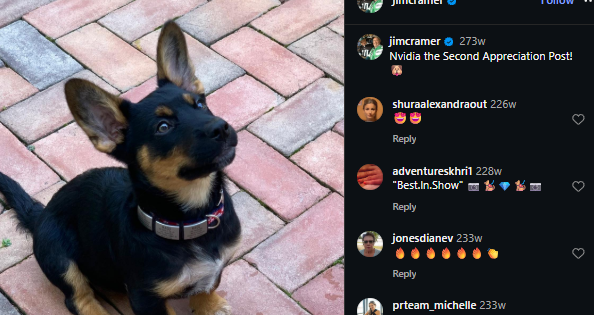 meggarwicky's tweet photo. NVIDIA ATH and this is the best runner for it

JIM CRAMER LITERALLY has a dog named nvidia

would this not be the best thing to run, nividia inu

https://t.co/HblcDrbGrK
https://t.co/w5l6v3ShEE https://t.co/Xq49rBnBTA