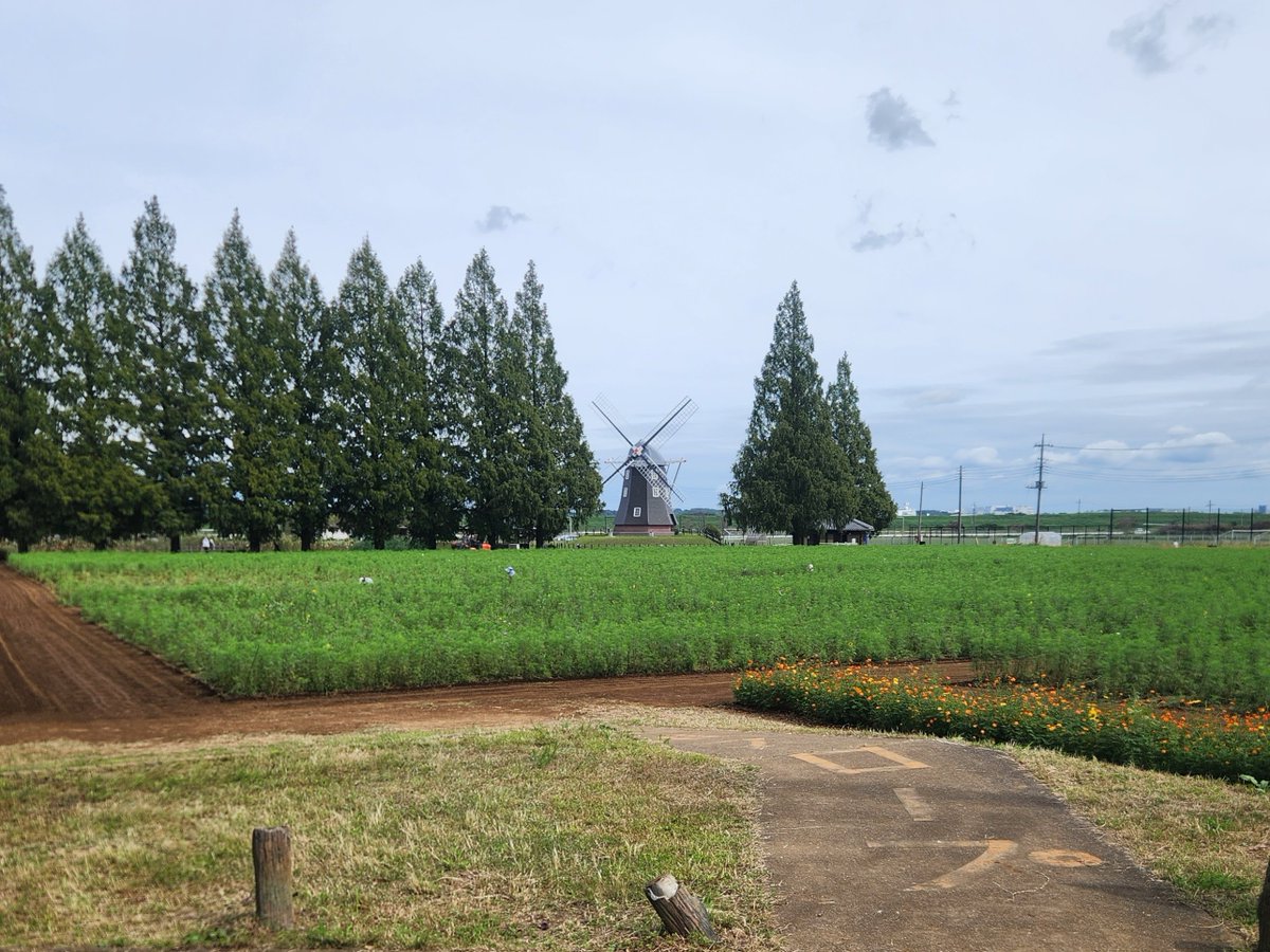 ProjectBicky's tweet photo. 帰りに #あけぼの山農業公園 よってみました🎵
のどかで癒されます♨️

#ロードバイク
#トレーニングライド
#朝活 https://t.co/7yqnAbUDH1