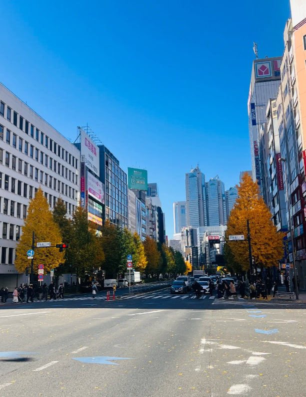 TheRedFox_ezh's tweet photo. 青空に輝く新宿の街、イチョウの黄色が鮮やかに彩る。
ビルの間を行き交う人々と車、活気にあふれる光景。
秋の空気が爽やかな、都会の一日の始まりです https://t.co/axMXSybx4C