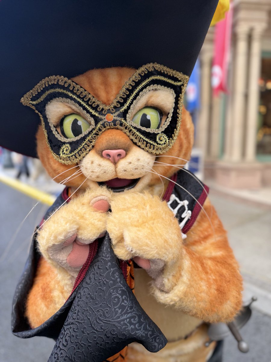 cheese1731's tweet photo. プスくんのニャーオ😼
ハロウィン衣装もよーく見ると装飾が細かくて凄く素敵でした✨
#USJ #USJファン #長ぐつをはいたネコ https://t.co/3oapKHAjcJ