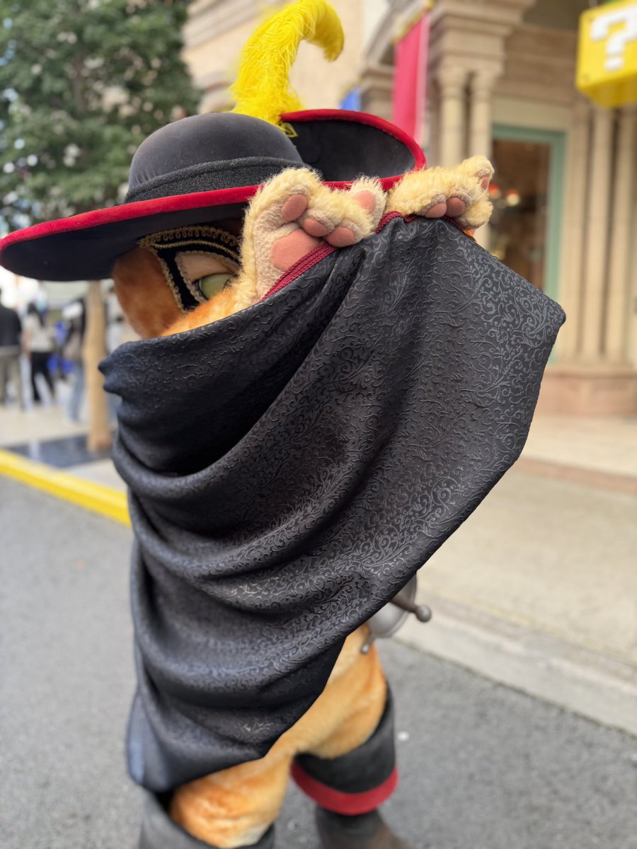 cheese1731's tweet photo. プスくんのニャーオ😼
ハロウィン衣装もよーく見ると装飾が細かくて凄く素敵でした✨
#USJ #USJファン #長ぐつをはいたネコ https://t.co/3oapKHAjcJ