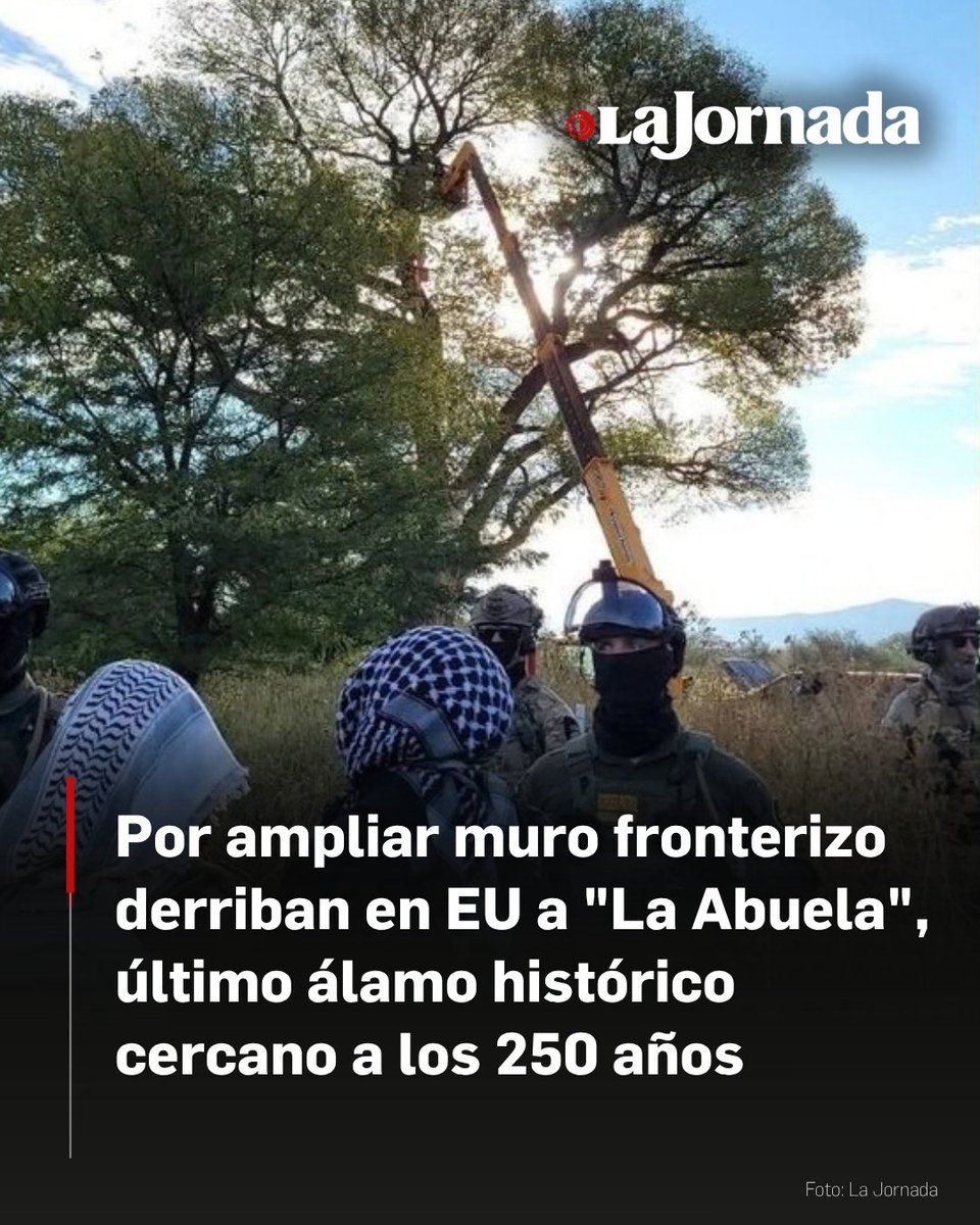 lajornadaonline tweet picture