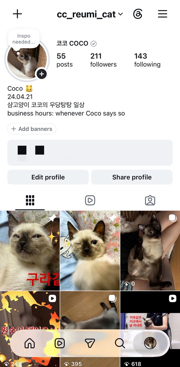 Peng_0O's tweet photo. 안녕하세요?
냥스타그램 다시 굴려보려고 합니다
트위터 친구들의 관심과 응원 부탁해요
많은 공유해 주시면 감사하겠어요

https://t.co/6S03V0tmKF https://t.co/85AU5dbmA5