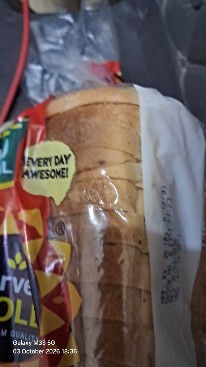 negiabbalsingh's tweet photo. Insect found inside the bread pkt received from Blinkit 
@blinkitcares https://t.co/njsLwNyRsd