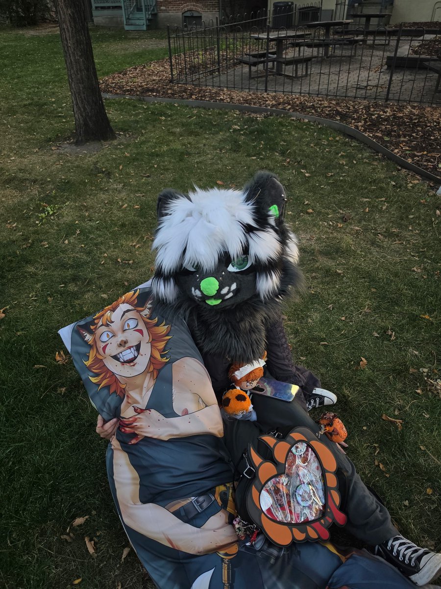 Gurow0lf's tweet photo. MSU Denver got a visitor today for a presentation and I may say. This little spot was very fun to take photos in. Ren will be getting a bath tomorrow <3 https://t.co/276czZlTKa