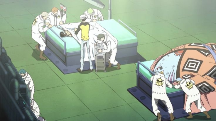 policytermsyx's tweet photo. "La prioridad es luffy 
Jimbe que se muera" palabras que dijo Law (créanme) https://t.co/6SQ7x5COT9