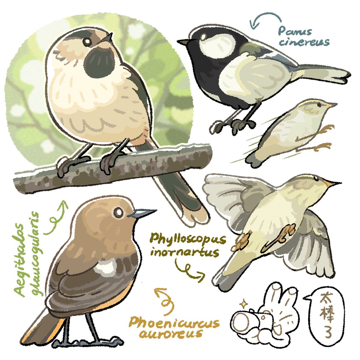 unknowncyc's tweet photo. Bird watching records https://t.co/QTNJGpXFMk