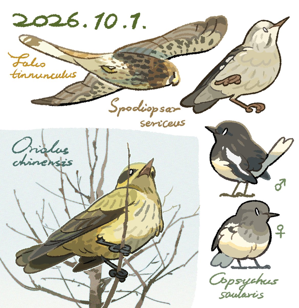unknowncyc's tweet photo. Bird watching records https://t.co/QTNJGpXFMk