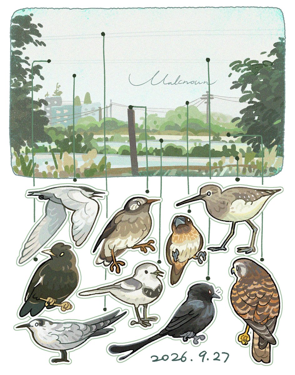 unknowncyc's tweet photo. Bird watching records https://t.co/QTNJGpXFMk
