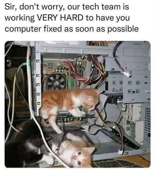 iamdarzee's tweet photo. #TechTuesdaysbyDarzee #memes #memesbydarzee #learning  #techmemes 😊😂😀🤔👨🏿‍🏫🧠🤯 https://t.co/GZYLrtzTMk