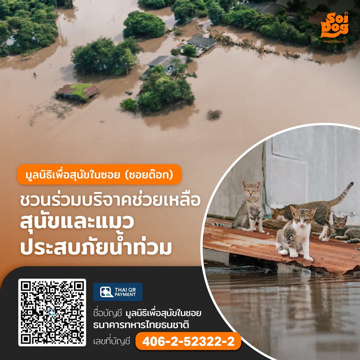 soidogthailand's tweet photo. ซอยด๊อกกำลังเร่งช่วยเหลือสุนัขและแมวที่ประสบภัยน้ำท่วม แต่ภารกิจนี้จะไม่อาจสำเร็จได้หากปราศจากการสนับสนุนของคุณ โปรดร่วมบริจาคตอนนี้ที่
มูลนิธิเพื่อสุนัขในซอย (Soi Dog Foundation)
เลขที่บัญชี: 406-2-52322-2
ธ.ทหารไทยธนชาต (TTB)
https://t.co/WOnhaYd0fj
#ทำบุญ #น้ำท่วม https://t.co/cV8k2cuVSm