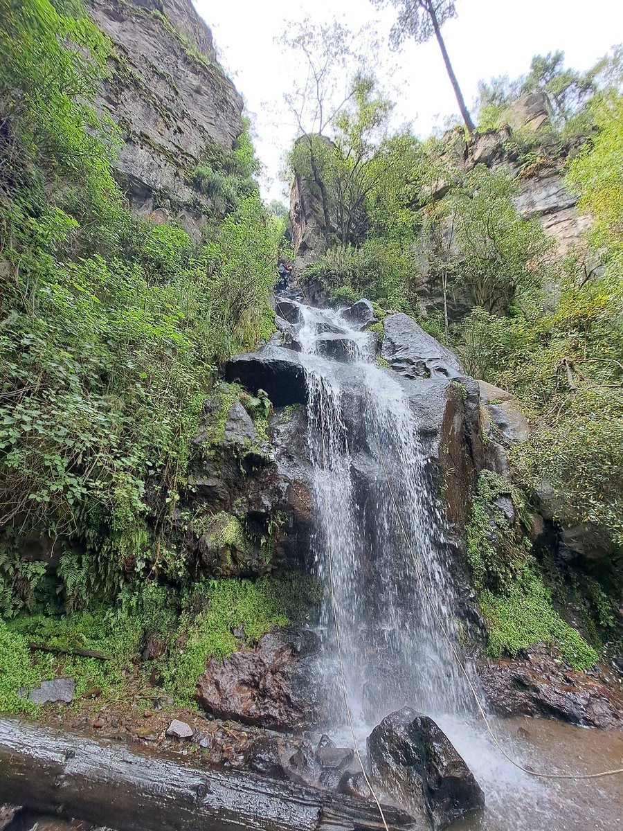 Maximilian97920's tweet photo. @ssolargenesis @PamphletsY @PlazSquare we also have that here in México City, if you come go to the Ajusco and the Dinamos https://t.co/1yJTVTu4fQ