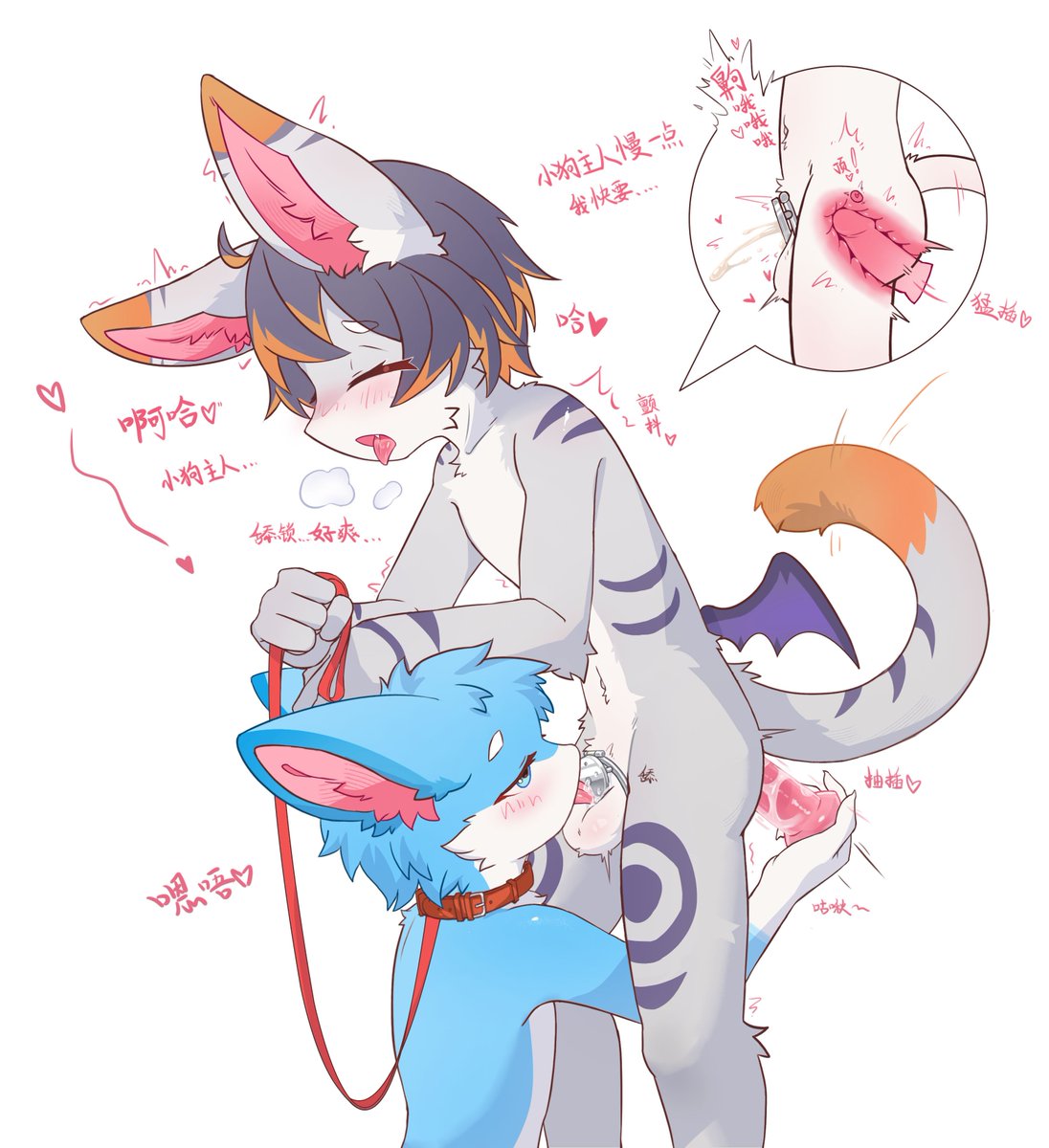 cenchen1998's tweet photo. 两只狗狗的互攻～
#furry #主奴 #贞洁锁 https://t.co/NXNq3zudaV