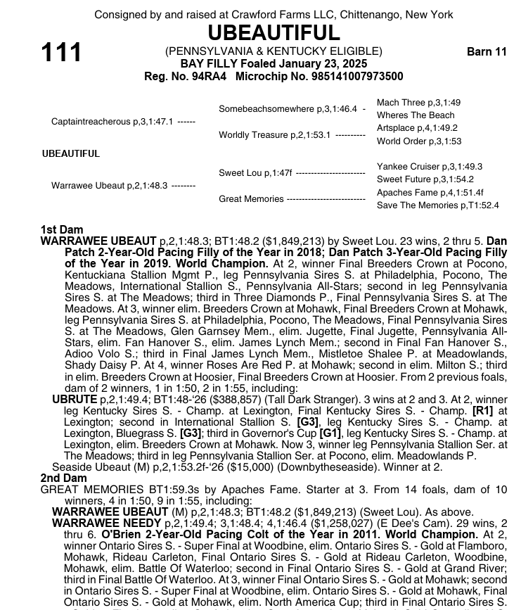 DRFHarness's tweet photo. A pair of Captaintreacherous fillies in HIP 111 Ubeautiful (consigned by @CrawfordFarmsUS) and HIP 112 Odds On Variable (consigned by Concord Stud Farm as agent, sold for $350,000 and $270,000, respectively. https://t.co/X2j36C94Iw