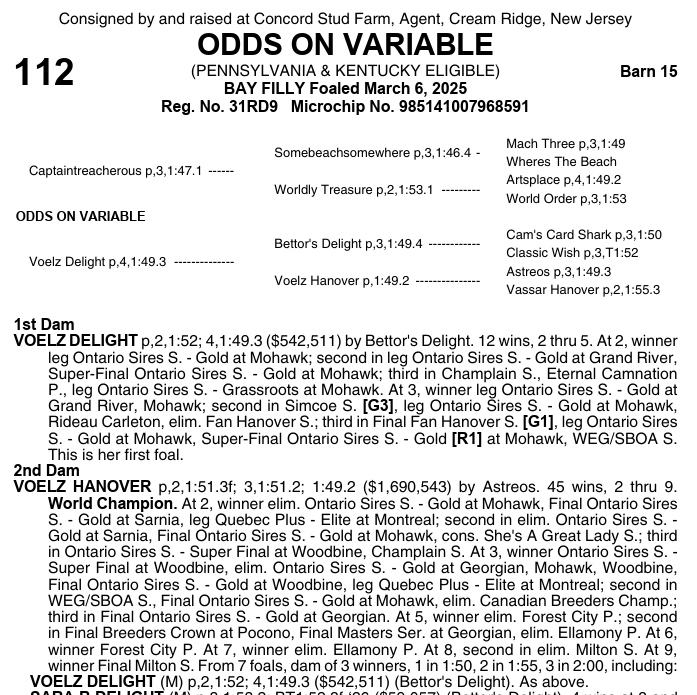 DRFHarness's tweet photo. A pair of Captaintreacherous fillies in HIP 111 Ubeautiful (consigned by @CrawfordFarmsUS) and HIP 112 Odds On Variable (consigned by Concord Stud Farm as agent, sold for $350,000 and $270,000, respectively. https://t.co/X2j36C94Iw