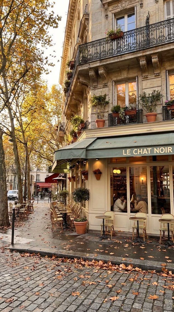 earthviewss1's tweet photo. Autumn in Paris, France 🇫🇷 https://t.co/PUvFoNcYlK