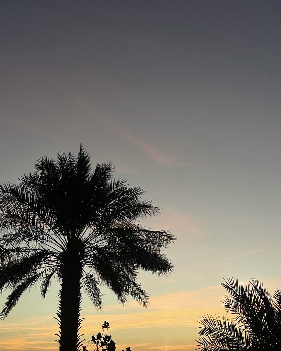 iasuui's tweet photo. ﴿ وَأَشْرَقَتِ الْأَرْضُ بِنُورِ رَبِّهَا ﴾ https://t.co/BI5SS8sW3E