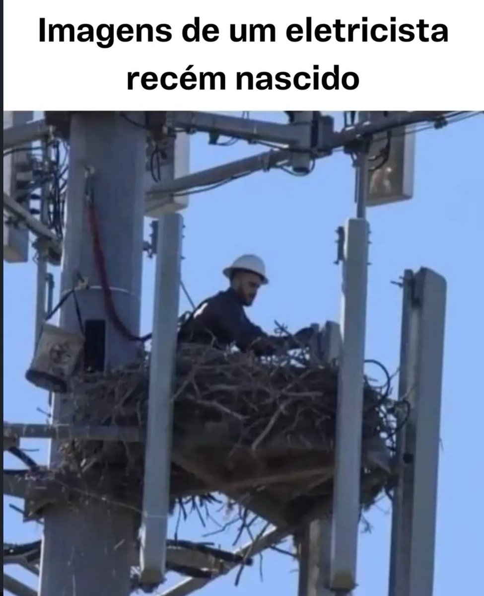 shitpostverdade's tweet photo. https://t.co/Rnrv3GH8Df
