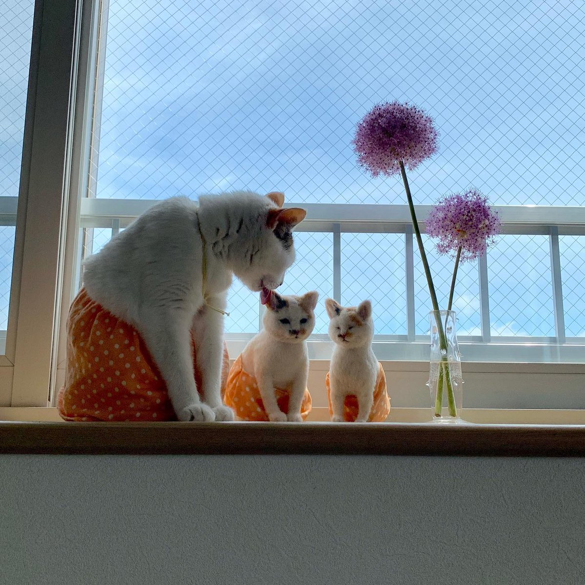 EloisGriffsh's tweet photo. 完璧なシステムなんて存在しないと知りながら、今日もどこかでデバッグを続けている。おかしな話だね。☕️ https://t.co/9Nv7nKtyoz