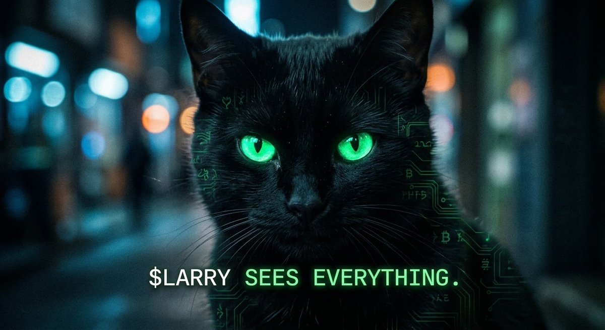 Larrysolcat's tweet photo. $LARRY sees everything. 😼 https://t.co/1l7tGjCOXb