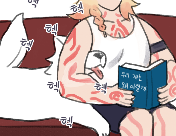 donkey_HSR's tweet photo. 책 읽고있으면 찾아오는 개 https://t.co/yBLJF9VULx