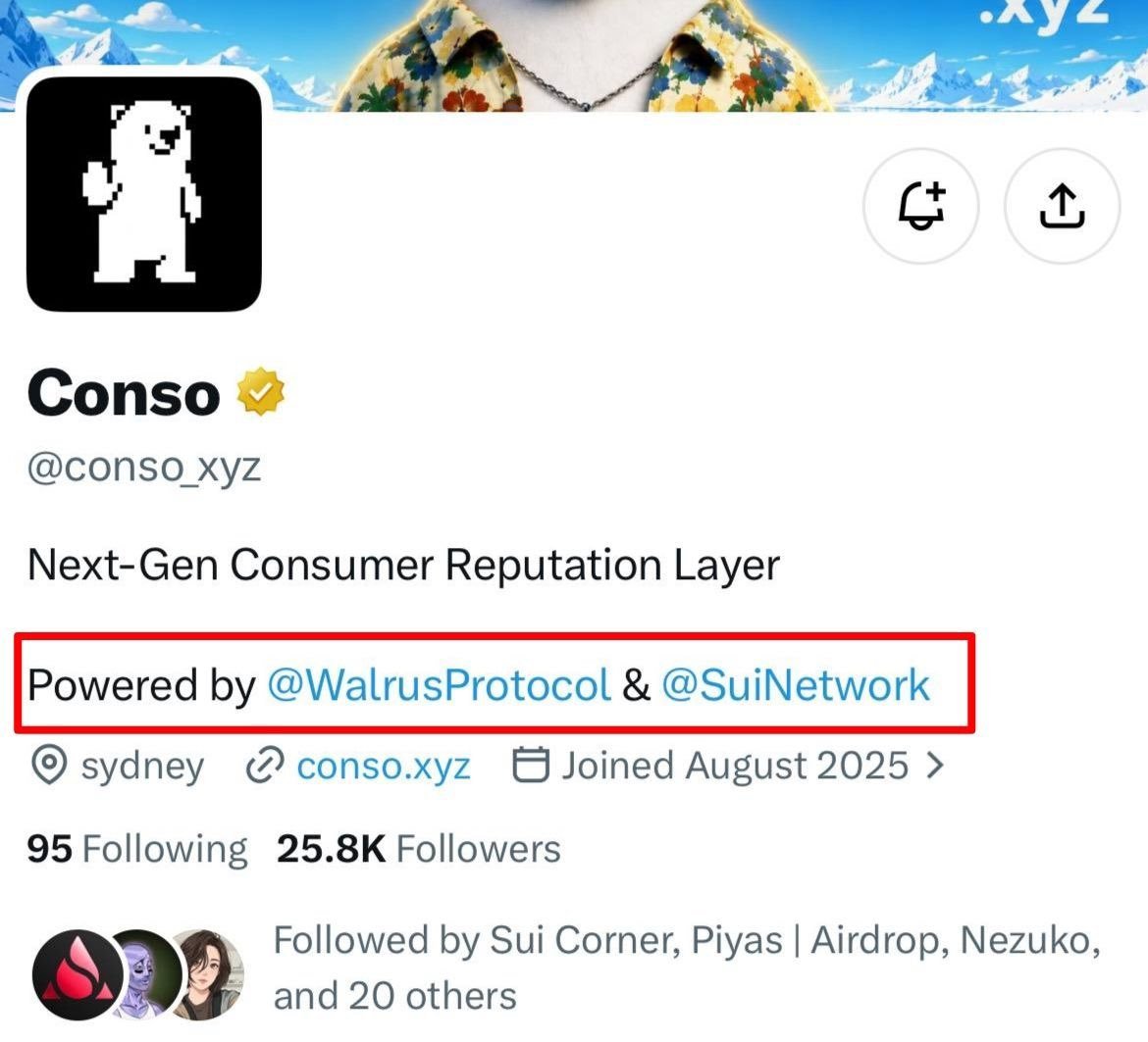 captainflee_'s tweet photo. CONSO BOTS WL GIVEAWAY - 2 SPOTS
First 33 only 👇 

Collab: @conso_xyz
Chain: @SuiNetwork

To enter:
- Follow @conso_xyz &amp; @captainflee_
- Like + RT
- Comment Sui wallet

Winners: 2 (random)
Ends: 24H https://t.co/YbPlUzSYgI