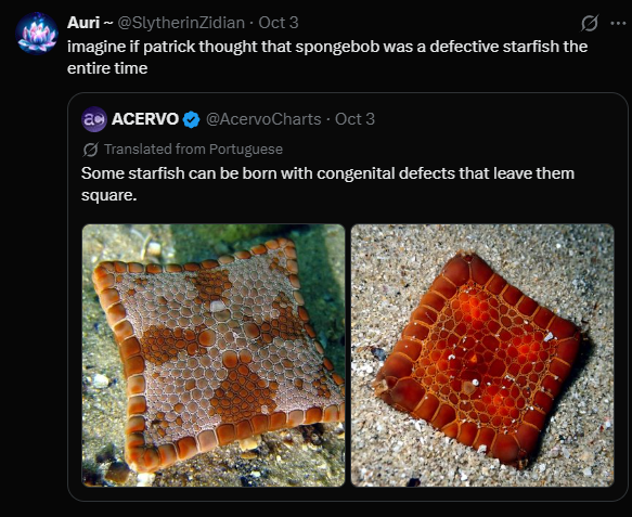 clclclclclcl8a's tweet photo. ITS TALKING ABOUT THIS "Patrick always saw him as a defective square starfish—a real thing from genetic mutations. Users riff on it with nonsense like heading to Venus with 'aunt penis' or getting 'cushy with uncle pussy,'" https://t.co/U5qMHXppBb