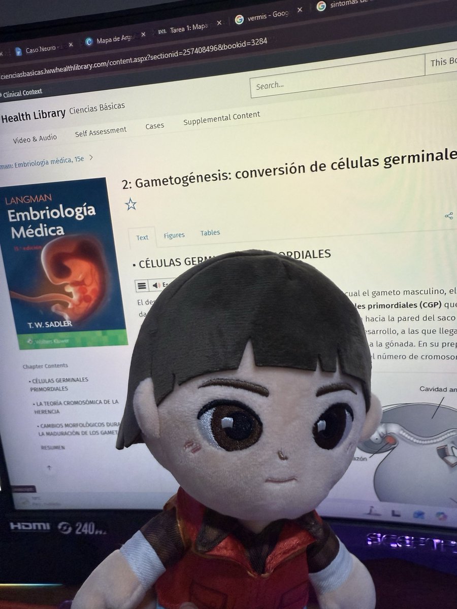 jznowi's tweet photo. willsito no me quiere dar estudiando ni ir en vez de mí a dar mis exámenes de la semana ☹️ https://t.co/IhxgcYN4oe