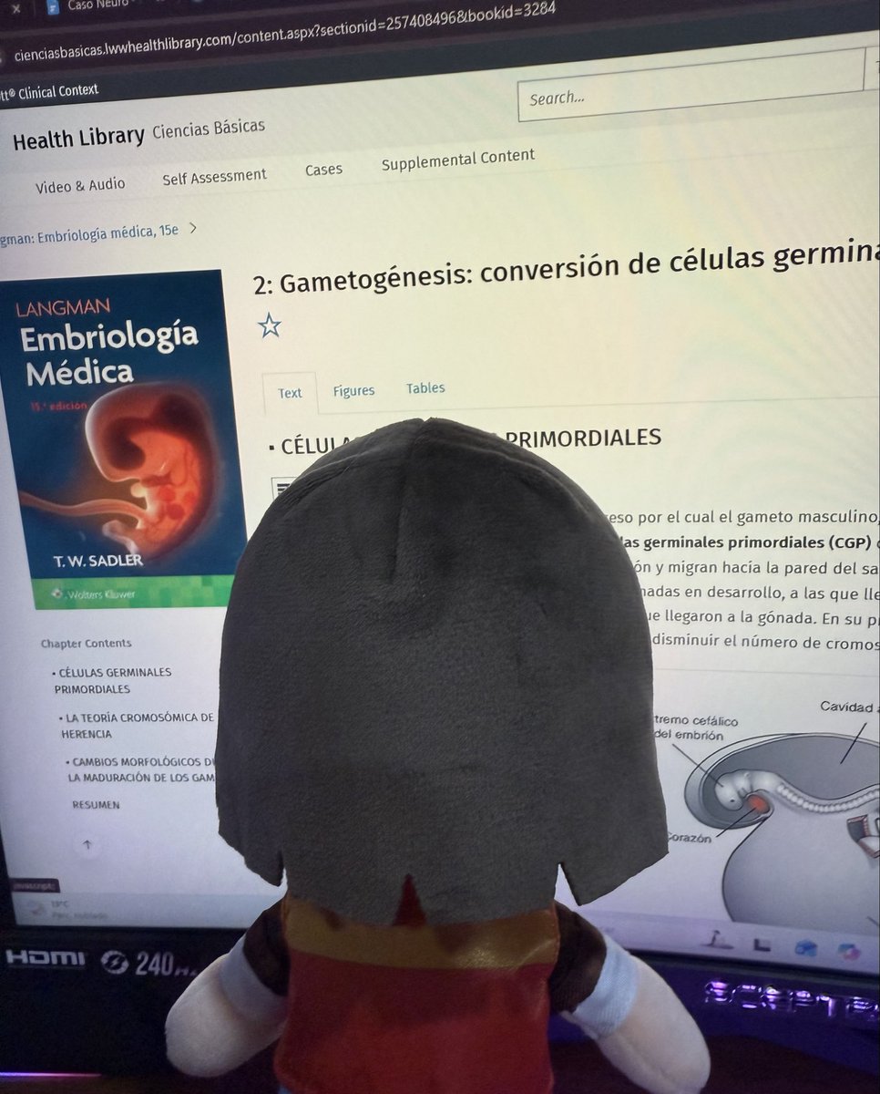 jznowi's tweet photo. willsito no me quiere dar estudiando ni ir en vez de mí a dar mis exámenes de la semana ☹️ https://t.co/IhxgcYN4oe