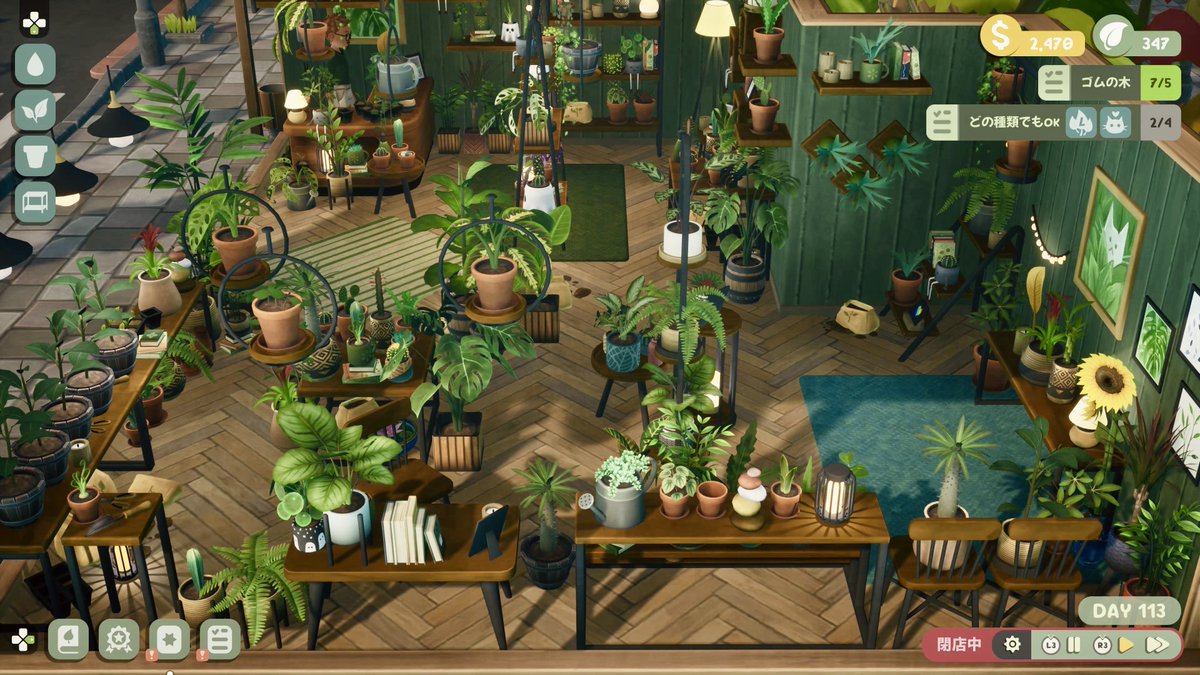 Heine_schwarz's tweet photo. リーフィーコーナー、お店を更にリフォームして広くなったし、蔓性の植物やLサイズ鉢/植物も置ける様になって一段とワシャワシャして来た🪴🪴🪴

取り敢えず暫くこの状態眺めてたいからクローズして電話注文依頼のみ受けてる。
※4枚目が依頼品育成スペース🌱

#LeafyCorner #リーフィーコーナー https://t.co/F8oBDa9hkq