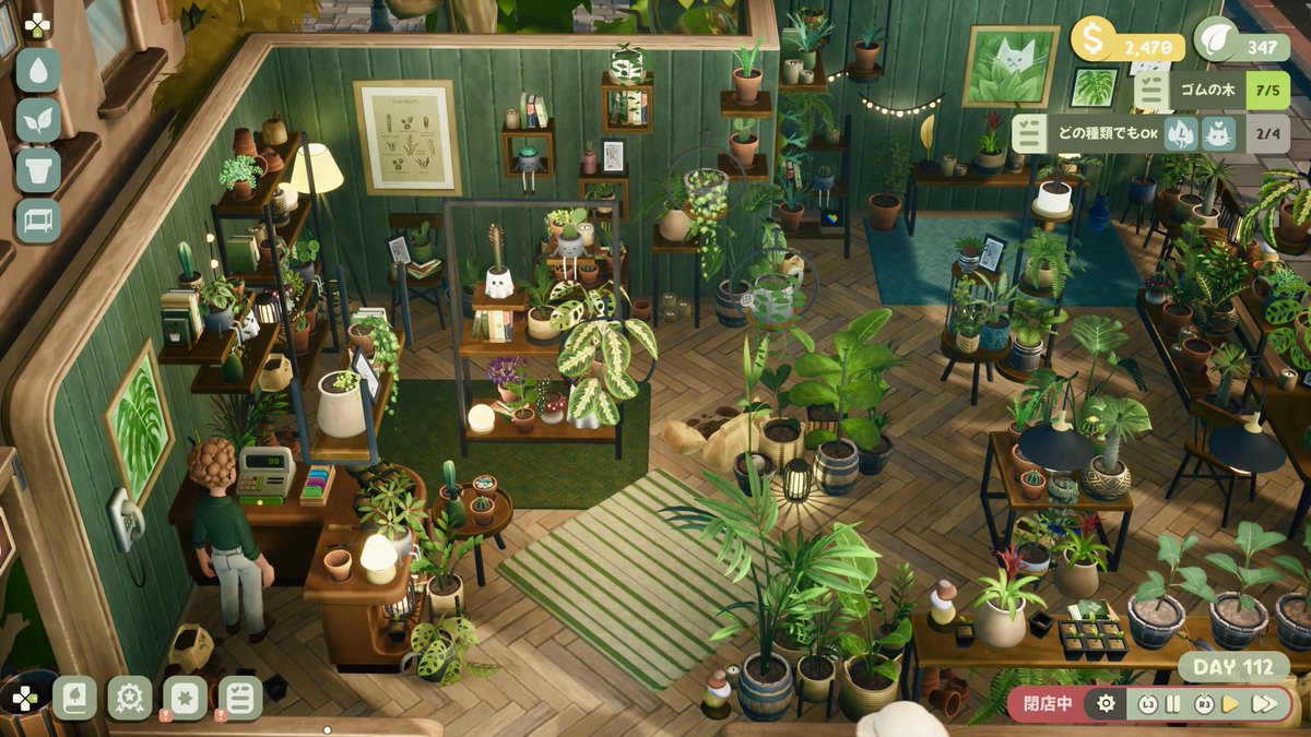 Heine_schwarz's tweet photo. リーフィーコーナー、お店を更にリフォームして広くなったし、蔓性の植物やLサイズ鉢/植物も置ける様になって一段とワシャワシャして来た🪴🪴🪴

取り敢えず暫くこの状態眺めてたいからクローズして電話注文依頼のみ受けてる。
※4枚目が依頼品育成スペース🌱

#LeafyCorner #リーフィーコーナー https://t.co/F8oBDa9hkq