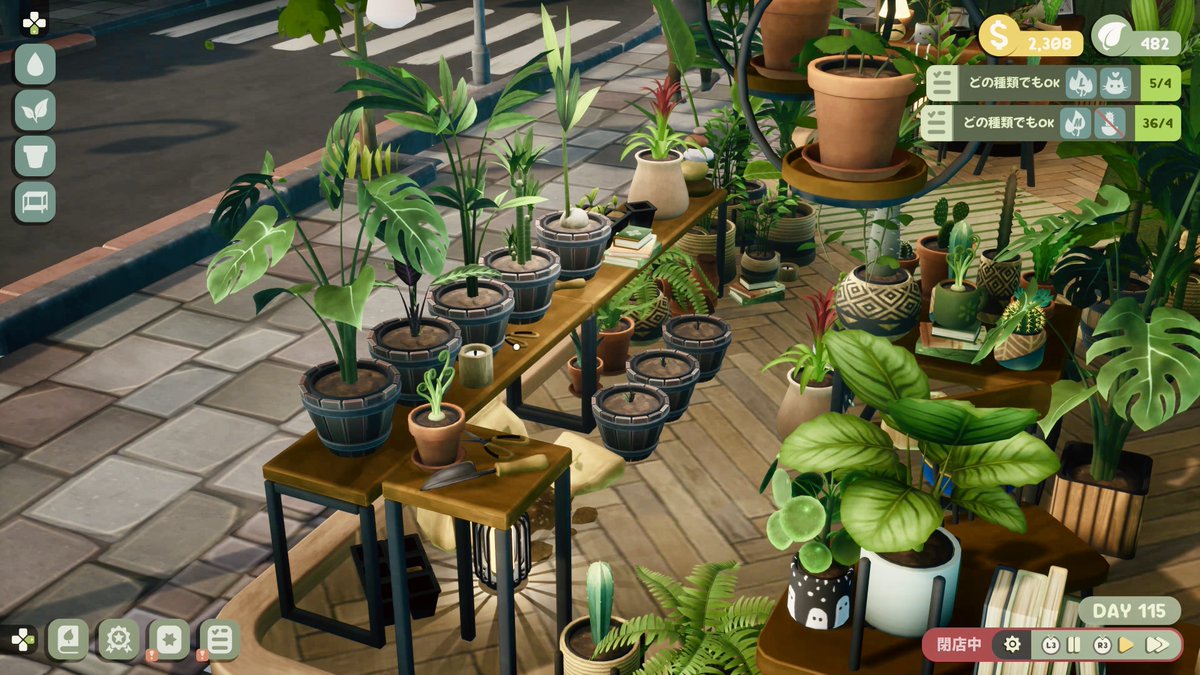 Heine_schwarz's tweet photo. リーフィーコーナー、お店を更にリフォームして広くなったし、蔓性の植物やLサイズ鉢/植物も置ける様になって一段とワシャワシャして来た🪴🪴🪴

取り敢えず暫くこの状態眺めてたいからクローズして電話注文依頼のみ受けてる。
※4枚目が依頼品育成スペース🌱

#LeafyCorner #リーフィーコーナー https://t.co/F8oBDa9hkq