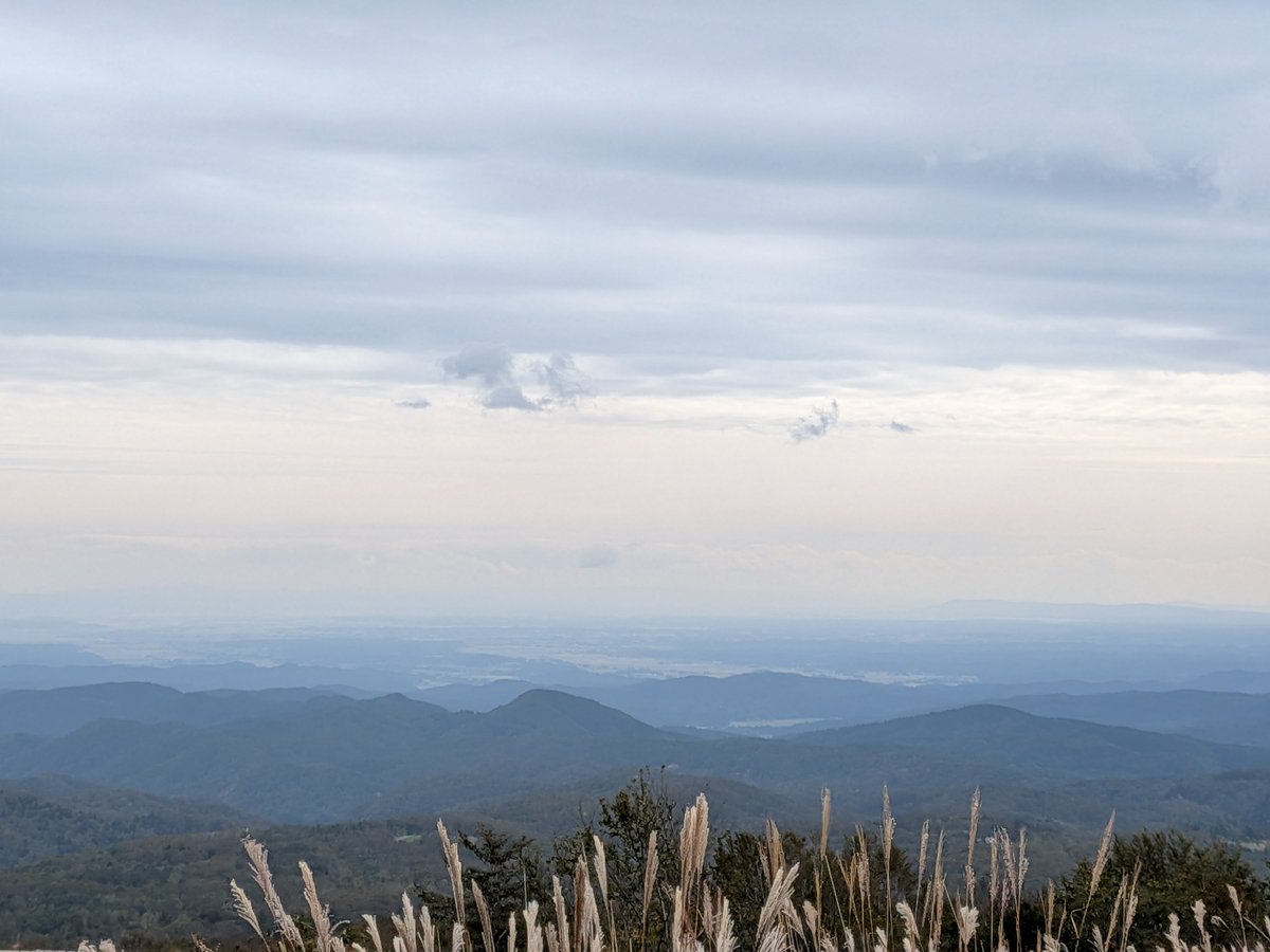 canaco123's tweet photo. 栗駒山の『神の絨毯』を見に来たけど、
あいにくのお天気☁️
霧がかかってて、全然見えない😂
残念〜🥹
また次回リベンジだな🍁 https://t.co/lGW8Bejzsk