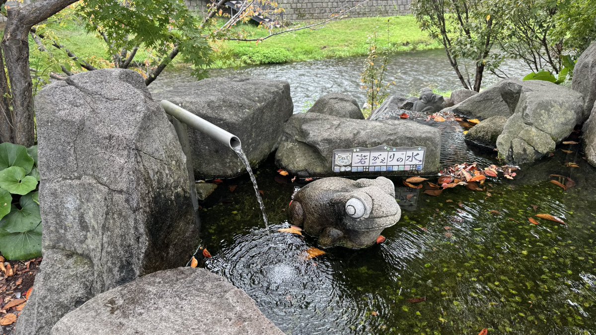 nipponsousei_tv's tweet photo. 信州松本、本当に美しい町だ。
平日でも活気があって、地方都市の理想系といった印象。
涼しい気候と豊かな自然が、どこか盛岡を彷彿とさせる。 https://t.co/vyO1w7vcN5