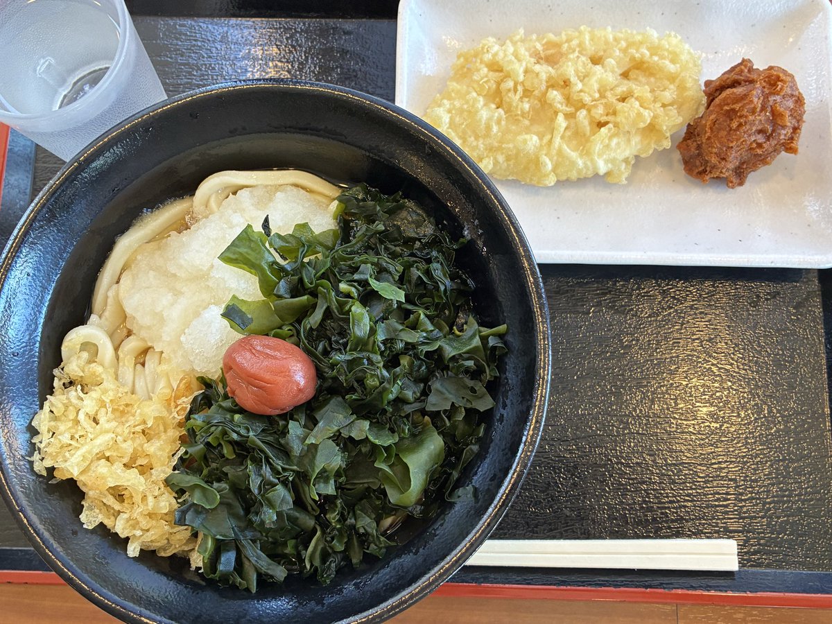 HAL_SHENA's tweet photo. 玉屋さんでランチ
梅ワカメぶっかけうどん 冷 1.5玉
今日も���カメどっさりで、めちゃくちゃ美味しかった！ https://t.co/Za6kpIeaWY