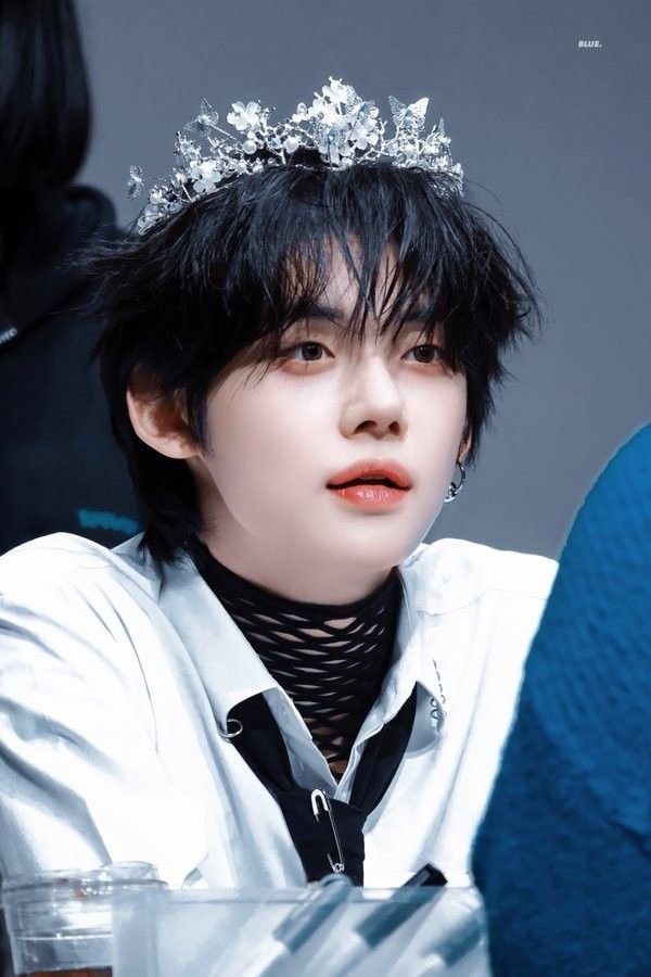 Bori_moa28's tweet photo. 어떨 땐 얘가 너무 아리따워 보여서 오빠라는 사실을 잊을 때가 있음... https://t.co/wgoldw3dJf