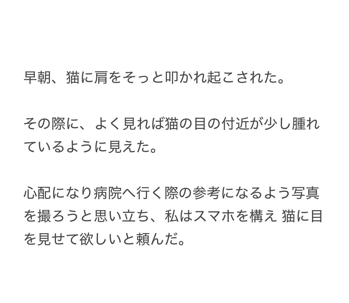 yalalalalalala's tweet photo. 【猫の動きに注意が必要な事】

いつも通りだと思い、後に後悔しました。 https://t.co/creWyupjMV