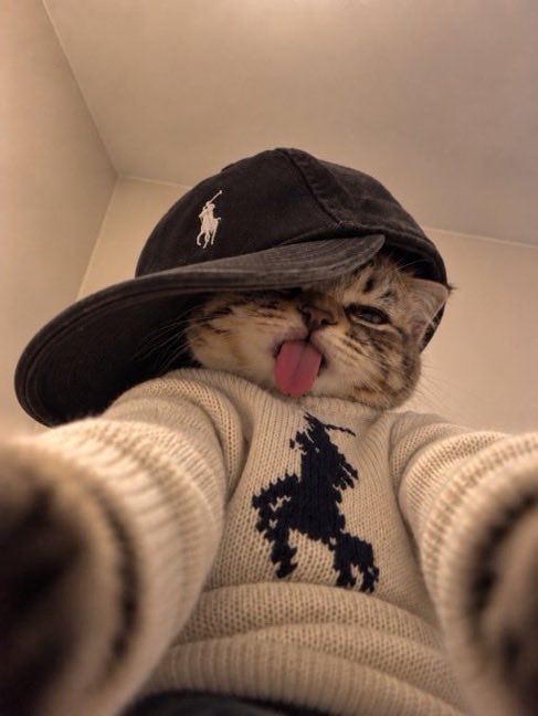 DougieFresh1813's tweet photo. Feeling cute might delete later ✌️ 

$ULTCAT https://t.co/O3xZrI4K7o