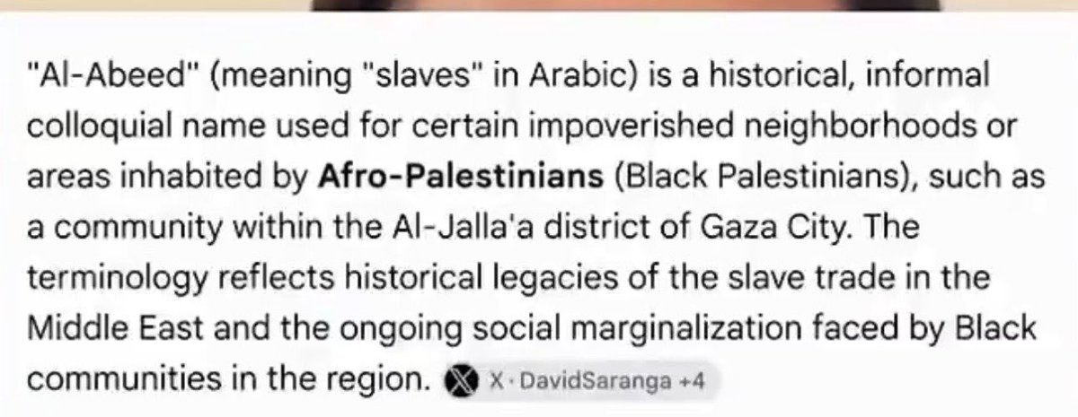 LeFauxCoupable's tweet photo. @SholaMos1 @comrade_kumar_ The African community in Gaza is all gathered in the same neighborhood called the slave district https://t.co/3n5yAUytPo