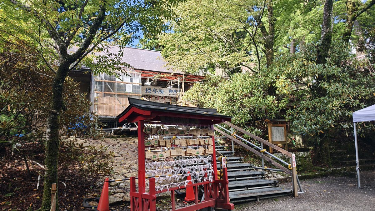 tenko_fish's tweet photo. https://t.co/DFsFRhIaK9