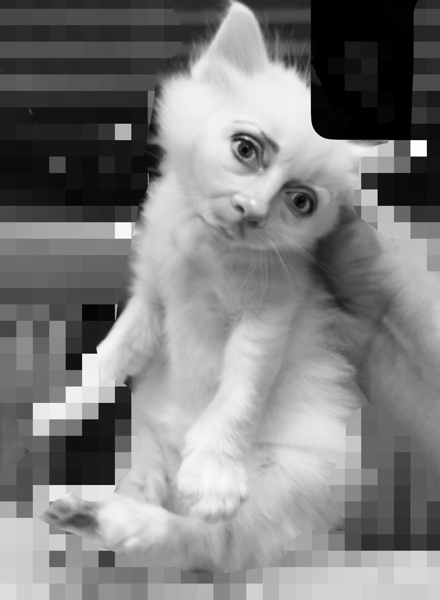 V5sbz's tweet photo. نجدول على زيكو هههههههه https://t.co/3SEfPRN9ur