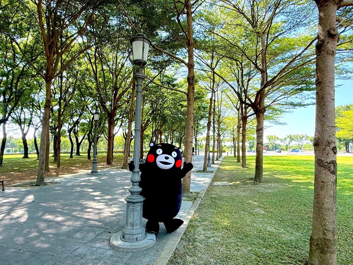 55_kumamon's tweet photo. お仕事で台湾に行ってきたモン！やっぱり、よかとこだったモーン！皆さんもぜひ行って欲しかモン☆ https://t.co/PuJTlxr305